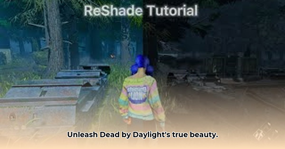 reshade-download-dbd
